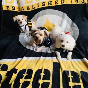 Meet your Posher, Raquel